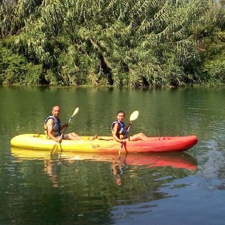 Les Cygnes Au Bord Du Loing Montigny-sur-Loing Exterior foto